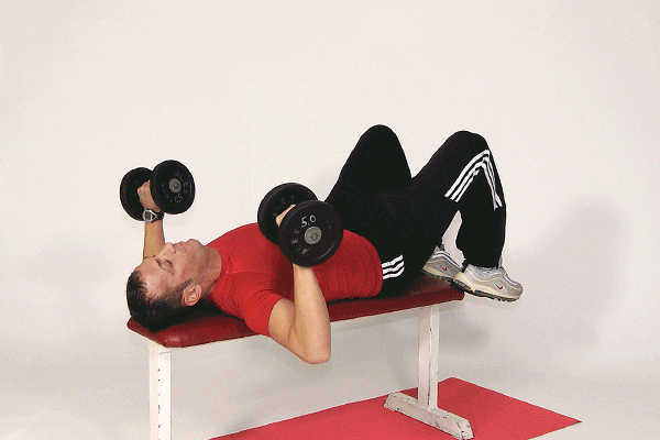 Chest (Pectoralis Major & Minor) Exercises - Fitness.com